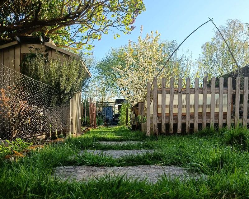 20260521_063354_nat-rn-terrain-658_photo_Jardin pierres bleues.jpg